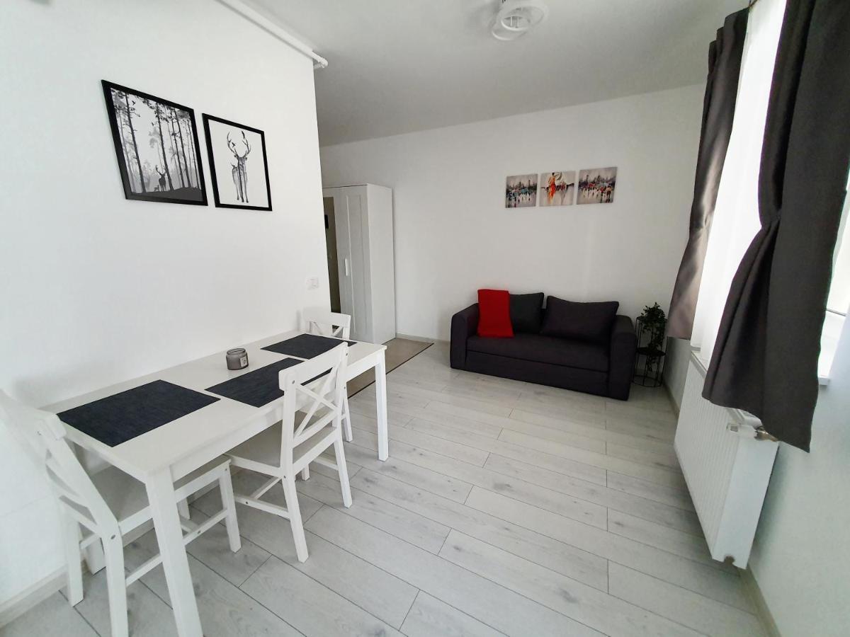 Apartament Fresh Mountain Braszów Zewnętrze zdjęcie