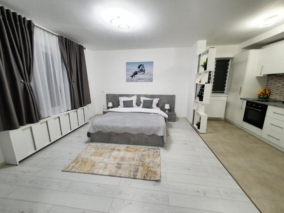 Apartament Fresh Mountain Braszów Zewnętrze zdjęcie