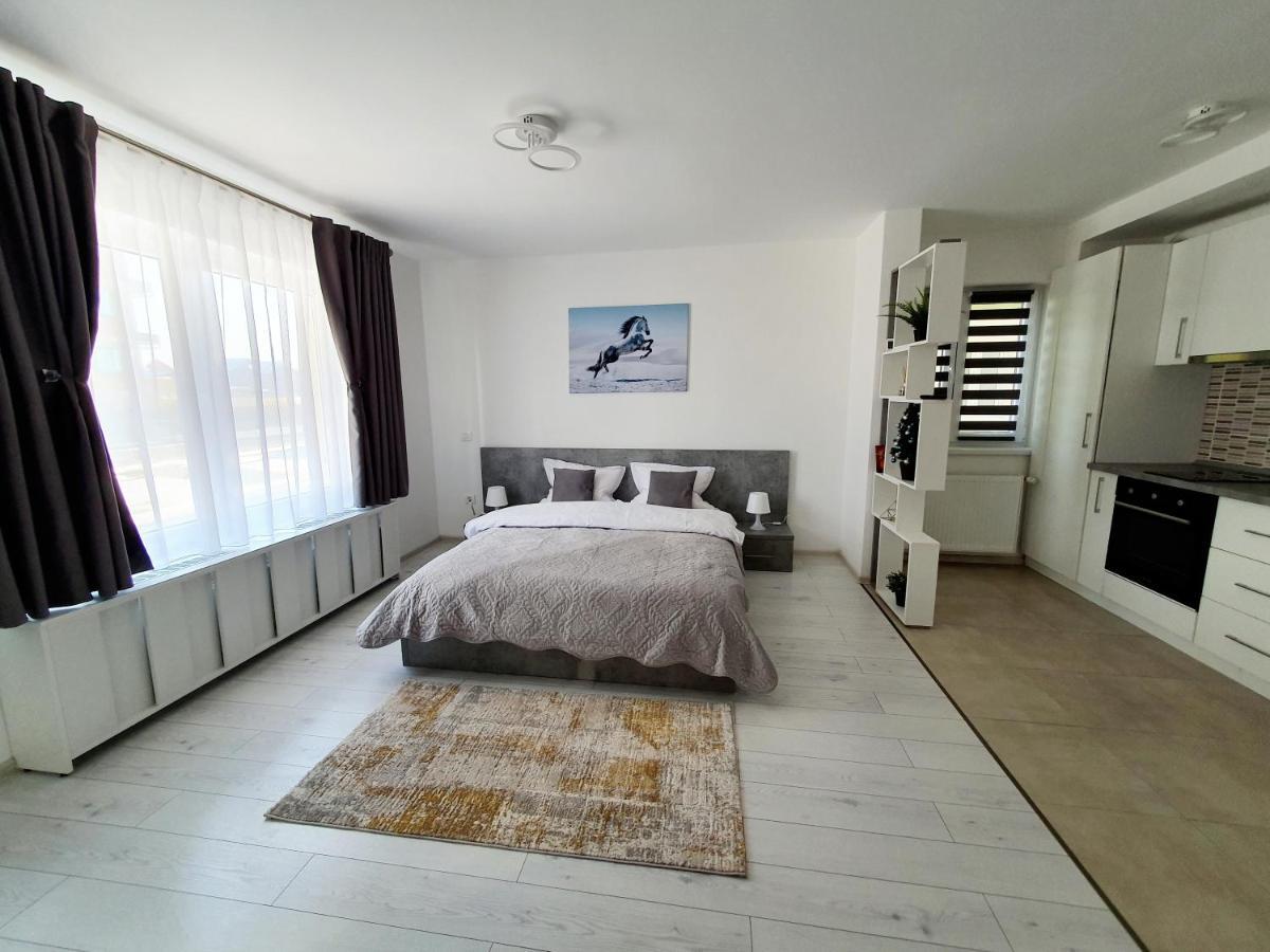 Apartament Fresh Mountain Braszów Zewnętrze zdjęcie