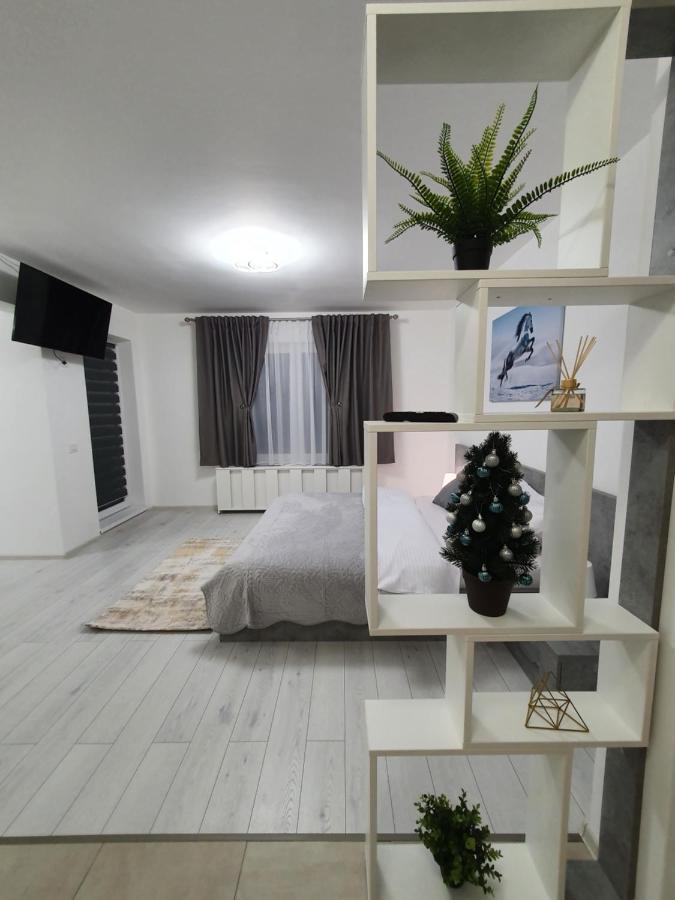 Apartament Fresh Mountain Braszów Zewnętrze zdjęcie